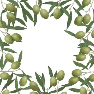 The frame of the branches of the olive tree Stock Illustration