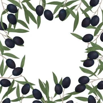 The frame of the branches of the olive tree with leaves and fruits in black Stock Illustration