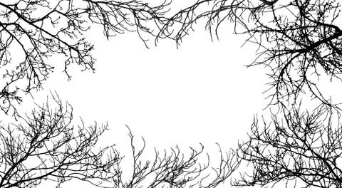 Frame from branches tree, silhouette of branches different trees. Vector illu Stock Illustration