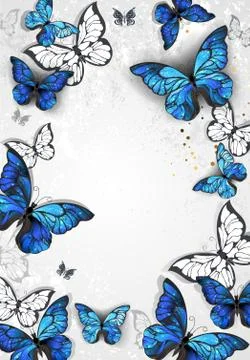 Frame with butterflies morpho Stock Illustration