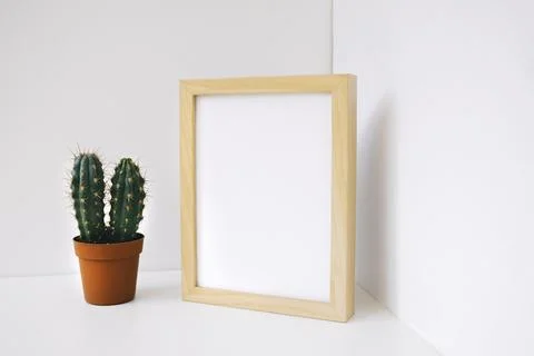 Frame cactus corner Stock Photos