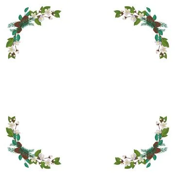 Frame of cherry or apple white flowers with spruce needles and cones Stock Illustration