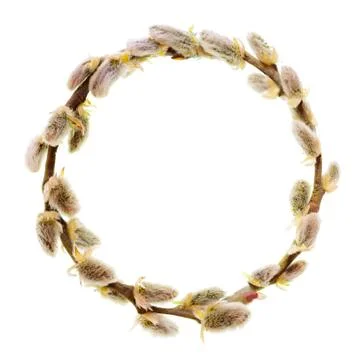 Frame a circle of willow branches. Isolated on white background Stock Photos