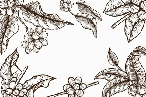 Frame with coffee products Illustrazione stock