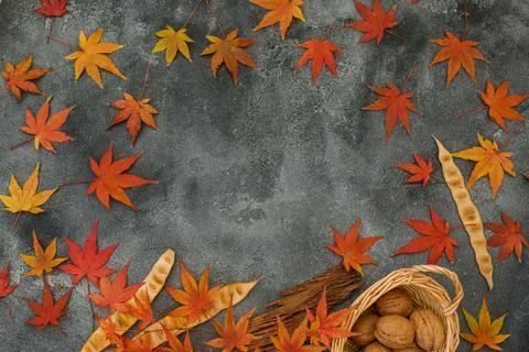 Frame concept made of fall maple leaves, walnuts on dark background. Autumnal Stock Photos