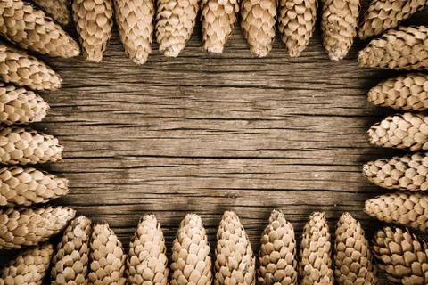 Frame from cones Stock Photos