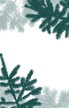 Frame of coniferous branches of pine and spruce trees, background with copy.. Ilustración de archivo