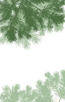 Frame of coniferous branches of pine trees, vertical background with copy s.. Ilustração Stock
