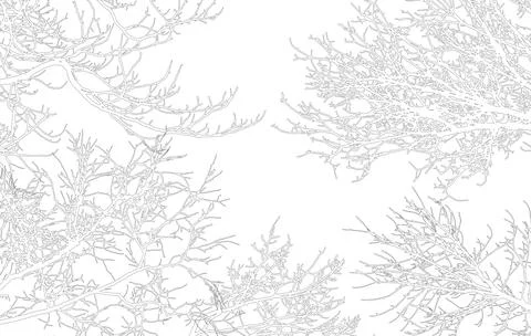 Frame of contours bare branches of trees, with copy space. Vector illustratio Stock Illustration