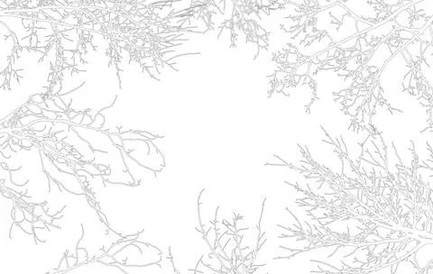 Frame of contours bare branches of trees, with copy space. Vector illustratio Stock Illustration