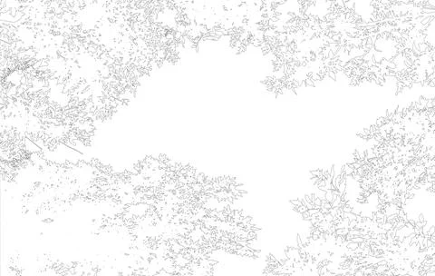 Frame with copy space, contour of deciduous branches of trees. Vector illus.. Stock Illustration