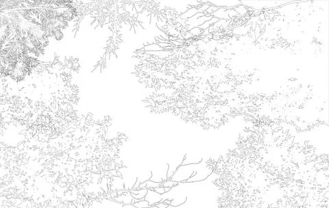Frame with copy space, contour of deciduous branches of trees. Vector illus.. Stock Illustration