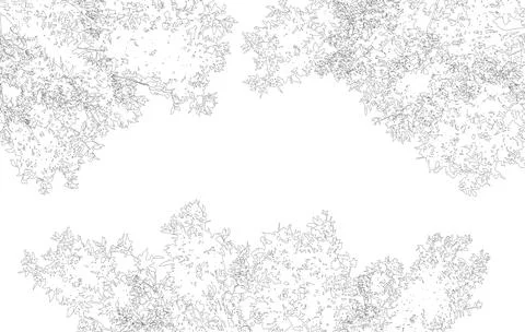 Frame with copy space, contour of deciduous branches of trees. Vector illus.. Stock Illustration