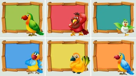 Frame design with parrots Stock Illustration