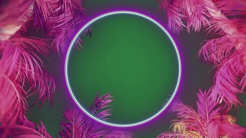 Frame Dynamic Motion Graphic Overlay Stock Footage 338016289