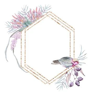 Frame with elements of Australian nature. Isolated on a white background. Stock Illustration
