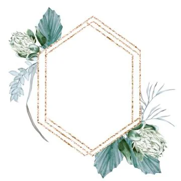 Frame with elements of Australian nature. Isolated on a white background. Stock Illustration