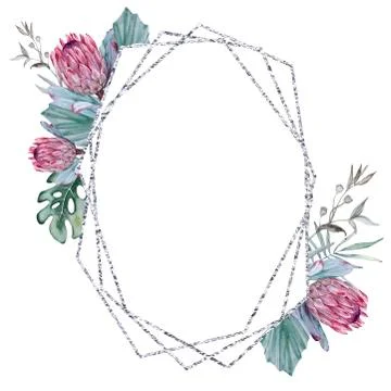 Frame with elements of Australian nature. Isolated on a white background. Stock Illustration