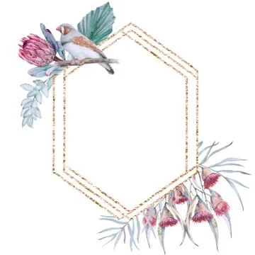 Frame with elements of Australian nature. Isolated on a white background. Stock Illustration