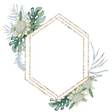 Frame with elements of Australian nature. Isolated on a white background. Stock Illustration