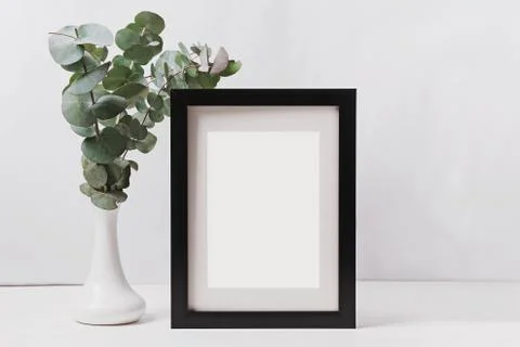Frame with empty paper and eucalyptus branches in the vase. Stock Photos