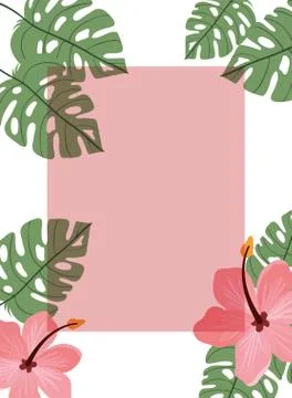 Frame with flower and leafs of summer Ilustração Stock