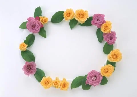 Frame of Flower Stock Photos