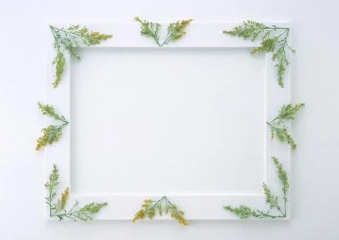 Frame of Flower Stock Photos