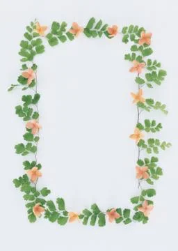 Frame of Flower Stock Photos