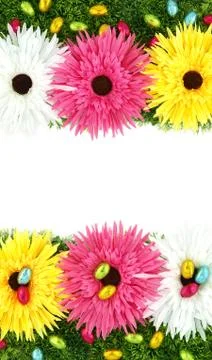 Frame of flowers and Easter eggs Stock Photos