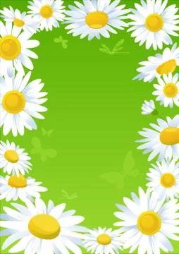 Frame of flowers Illustrazione stock