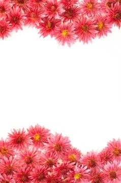 Frame of flowers Stock Photos