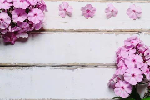Frame of flowers on the table Stock Photos