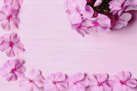 Frame of flowers on the table Stock Photos