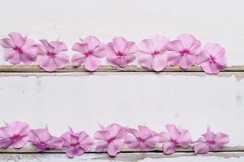 Frame of flowers on the table Stock Photos