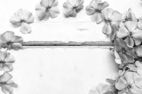 Frame of flowers on the table Stock Photos