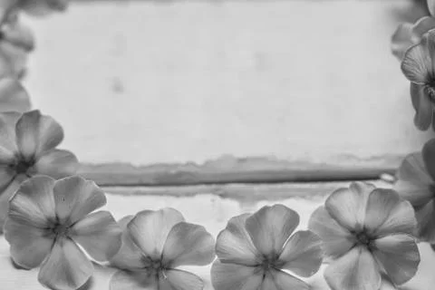 Frame of flowers on the table Stock Photos