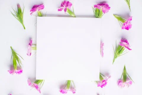 Frame of flowers on the table Stock Photos