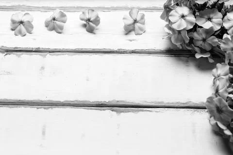 Frame of flowers on the table Stock Photos