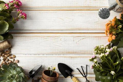 Frame flowers tools Stock Photos