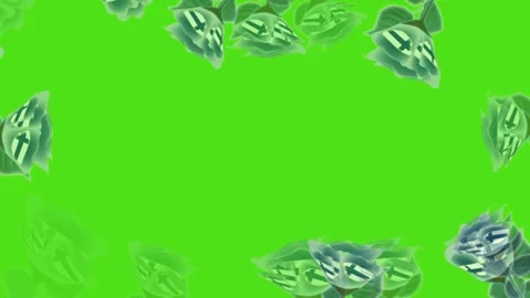 Frame Stock Footage 261435258