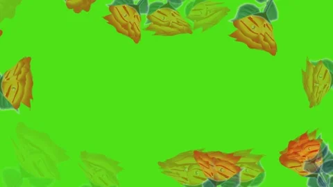 Frame Stock Footage 261435267