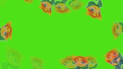 Frame Stock Footage 261435346