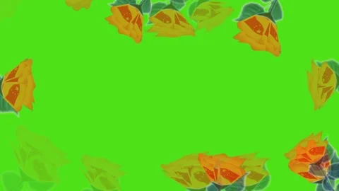 Frame Видео 261435347