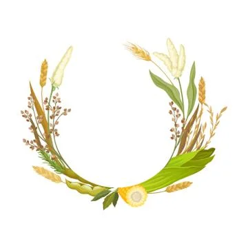 Frame in the form of a half ring from different stalks and ears of corn. Vector Illustrazione stock