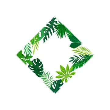 Frame in the form of a square at the corner of the leaves placed inside. Vector 스톡 일러스트