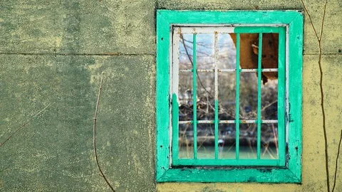 Frame-by-frame shooting: The window is gradually painted over 스톡 동영상 103267193