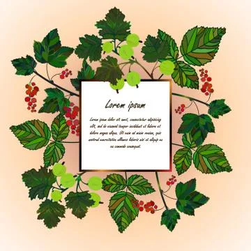Frame with garden berries. Illustrazione stock