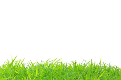 Frame of grass Stock Photos