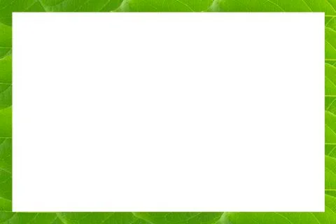 Frame of Green leaf pattern isolated Stock Photos